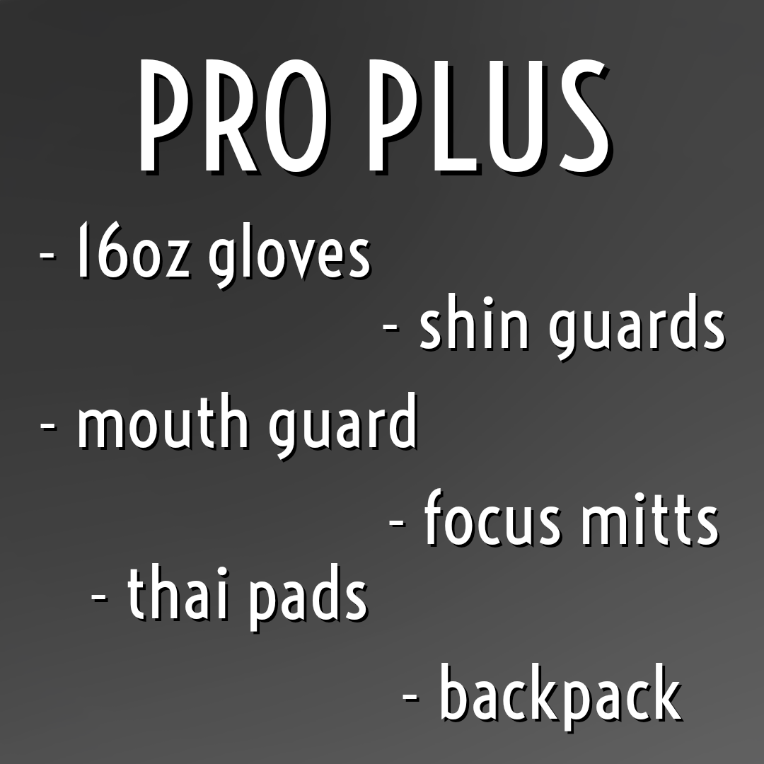 Pro Plus Package